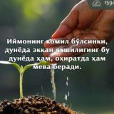 "SAHOVATLI YURTDOSHLAR"(uyda qoling)