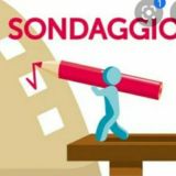 Sondaggi