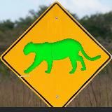 Зеленая пантера