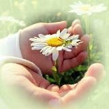 ДобронаГлавном/ Гульнара Рашитовна