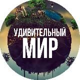 Удивительный мир🌍