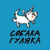 Собака–гуляка