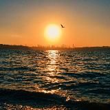 𝙰𝚇𝙸 𝙼𝚄𝚂𝙸𝙲🔥