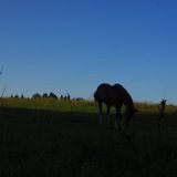 Одна из комнат души