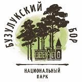Бузулукский бор