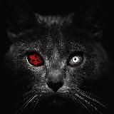 ʙʟᴀᴄᴋ | ᴍᴜᴢ😈😈