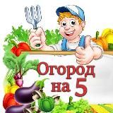 Огород на пять!