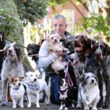 Чат Переводчика с бухгалтерского