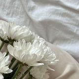 ОЗЕМПИК💊САКСЕНДА💊РЕБЕЛСАС