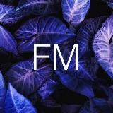 FM | Мысли | курс валют