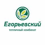 Егорьевский тепличный комбинат