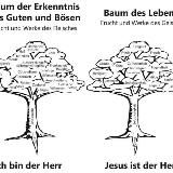 8️⃣🛁&🌳 Rechtswahl: Verstehen und Handeln
