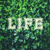 ɢUʀUʜʟAʀɴɪ DODASɪ