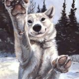 🐾 Furrylove! 🐾