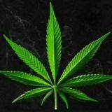 ♥✲ ┄অঠ Tελεgrαრ jιηηιsι ঠঅ┄ ✲♥