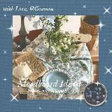 ㅤ๑˙ chavillia. 🪷