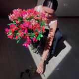 Chat 💬 Виктория Темирова