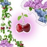 Летние будни на пару