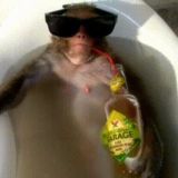 лучевский чат