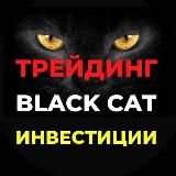 BLACK CAT Трейдинг