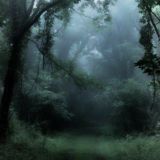 ⲥʀⲩⲋⲧⲁⳑ ⲥⲉⲙⲉⲧⲉʀⲩ;“🩻”;