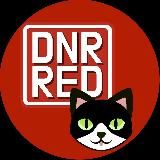 DNR.RED Животные