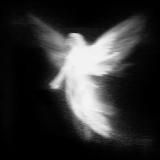 kenexy & prod.cr1stall