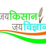 KISAN GROUP