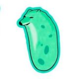 Биология по мемам