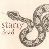 stariydead beats