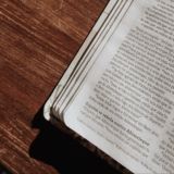 🦩(CHAT NORDESTE) #bíbliaem9meses