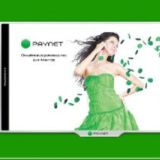 Paynet group