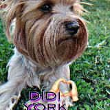 Подвал бешеных 🔫