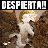 🕸"SOMOS RED, SOMOS RESISTENCIA, SOMOS ALQUIMISTAS🕸 💥LA BIBLIOTECA DE ALET*🥷🏼💥💥💥