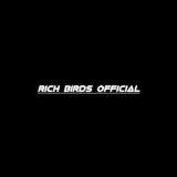 Rich Birds Official