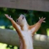 Красивые картинки