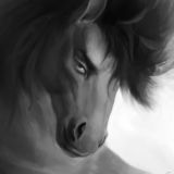 Furry Horses / NSFW (Yiff) 18+