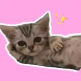 Вот так диво!☀️