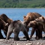 Мужской Мир (It's a Man's World)