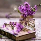 📚Просто читачка📚