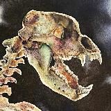 Cave Bear Ural (Уральский пещерный медведь)