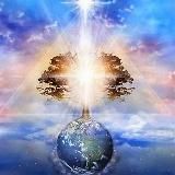✨🎶 Soul Harmony🎶✨