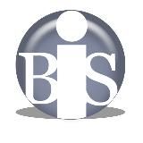 БанкИнформСервис (bankinform.ru)