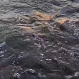 Як хотира🌾