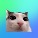 флудилка 🏋️‍♂️