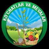 KOCHATLAR OLAMI ( КУЧАТЛАР )