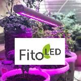 Fito_LED