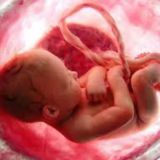 ❤️سلامت و بارداری ❤️