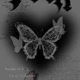 🤍𝖂𝖍𝖎𝖙𝖊_𝕭𝖚𝖓𝖓𝖞🤍