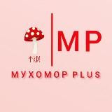 Мухомор plus🍄